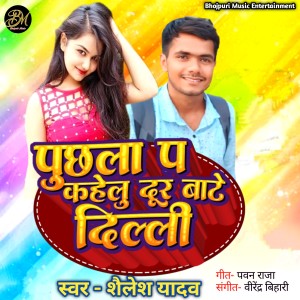 Listen to Puchala Pa Kahelu Dur Bate Delli song with lyrics from Shailesh Yadav