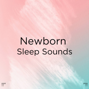 Dengarkan 婴儿睡眠音 lagu dari White Noise Baby Sleep dengan lirik
