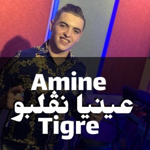 Album عينيا نڨلبو from Cheb Amine Tigre