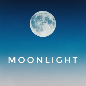 收聽Lingero的Moonlight歌詞歌曲
