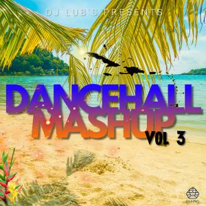 Album Dancehall Mashup Vol 3 (Explicit) from Dj Lub's