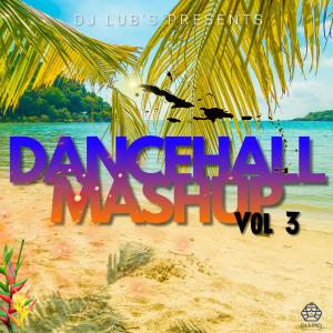 Listen to Dancehall Mashup Vol 3 (Explicit) song with lyrics from Dj Lub's