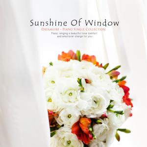 Sunshine Of Window