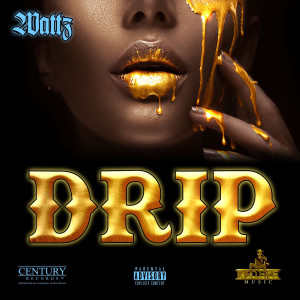 ดาวน์โหลดและฟังเพลง Drip (Explicit) พร้อมเนื้อเพลงจาก Wattz