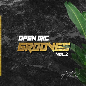 Various Arists的專輯Open Mic Grooves, Vol. 2