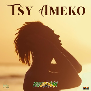 收听Rootsman的Tsy Ameko歌词歌曲