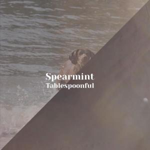 Spearmint Tablespoonful dari Various