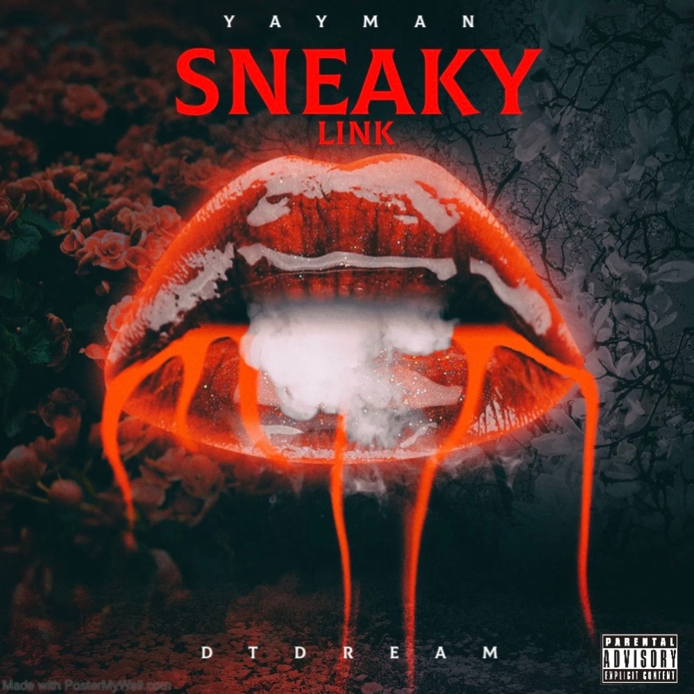 Sneaky Link (feat. DTDREAM) (Explicit)