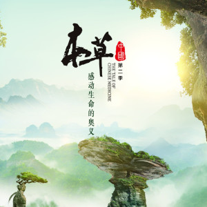 收听史天的风起歌词歌曲
