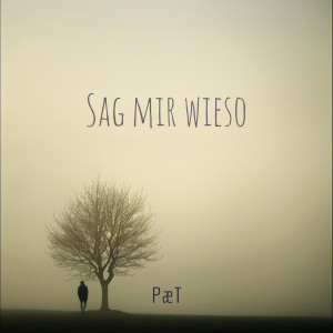 Listen to Sag Mir Wieso song with lyrics from PæT
