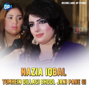 Listen to Tumhein Dillagi Bhool Jani Pare Gi song with lyrics from Nazia Iqbal