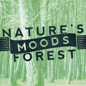 Nature's Mystic Moods的專輯Nature's Moods: Forest