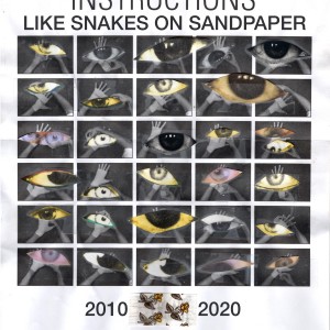 Like Snakes on Sandpaper (a Collection 2010-2020)