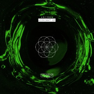 Listen to The Nu Realm (FM Instrumental) song with lyrics from Aninha