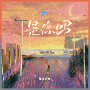 Album 是你吗 from 搁浅的鱼.