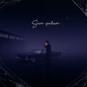Album Seni Sordum from cemhvn