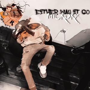 ดาวน์โหลดและฟังเพลง Loyal & Work (feat. ZayWild) (Explicit) พร้อมเนื้อเพลงจาก micro rx