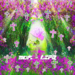 收聽Sorin的LIFE歌詞歌曲