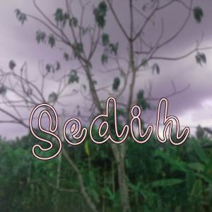 Album Sedih from Kadarella