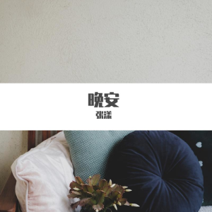 Listen to 晚安 (完整版) song with lyrics from 张漾