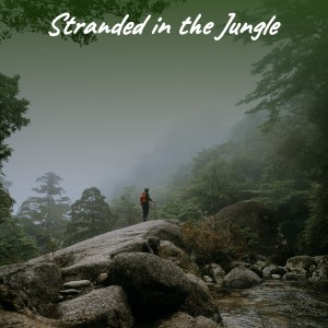Listen to Smoky Places song with lyrics from The Corsairs