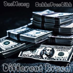 อัลบัม Different Breed (feat. SukkaFreeLikk) [Explicit] ศิลปิน DaeMoney