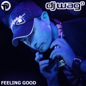 Listen to Feeling Good (Wag Extended Mix) song with lyrics from DJ Wag