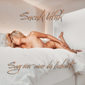 ดาวน์โหลดและฟังเพลง Sag mir wen du liebst (Explicit) พร้อมเนื้อเพลงจาก Sucuk Ufuk