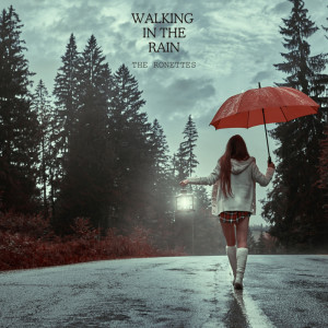 Album Walking In The Rain from The Ronettes