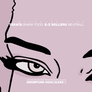Album Drumfunk Hooliganz II - Limited Edition Sampler oleh Tekniq
