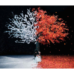 ดาวน์โหลดและฟังเพลง Akane Sasu พร้อมเนื้อเพลงจาก Aimer