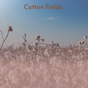Dengarkan lagu Cotton Fields nyanyian The Highwaymen dengan lirik