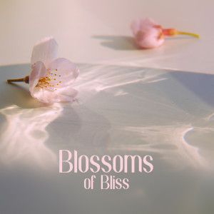 Pure Spa Massage Music的專輯Blossoms of Bliss