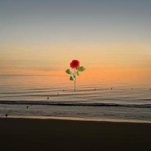 收聽Before Dawn的Little Flower (Explicit)歌詞歌曲