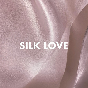 Various的專輯Silk Love (Explicit)