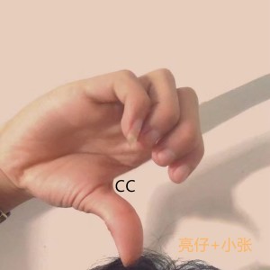 Listen to Diary (改版) song with lyrics from 亮总