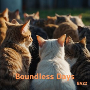 Album Boundless Days from Bazz