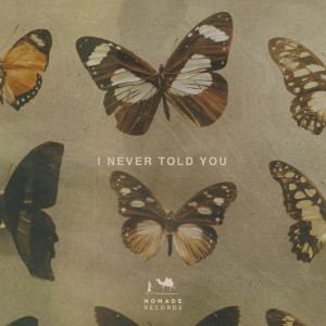 收听Paige的I Never Told You (Extended Club Mix)歌词歌曲