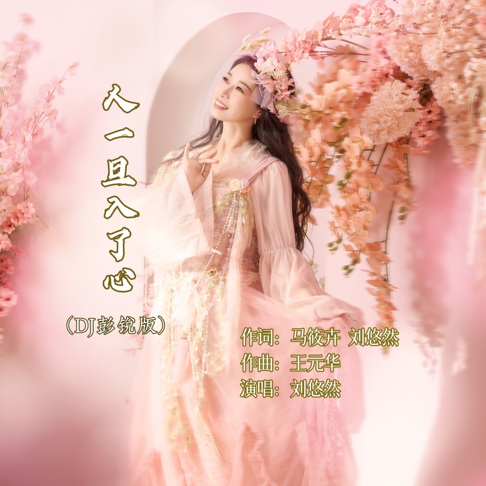 人一旦入了心（DJ彭锐版） (完整版)