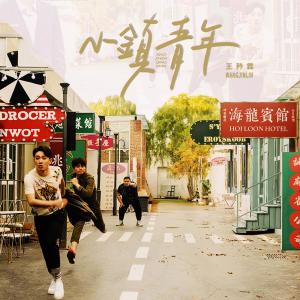 Listen to Xiao Zhen Qing Nian song with lyrics from Domi Wang (王矜霖)