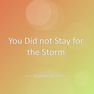 Album You Did not Stay for the Storm from Stephen Smith