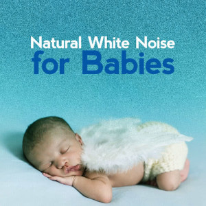 收聽Natural White Noise for Babies的White Noise: Shower歌詞歌曲