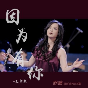 Album 因为有你 (舒楠监制 官方正式版) from 毛阿敏