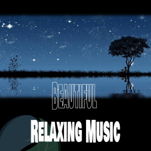 Dengarkan lagu Reality in Nirvana nyanyian Sound of Tranquility for Sleep dengan lirik