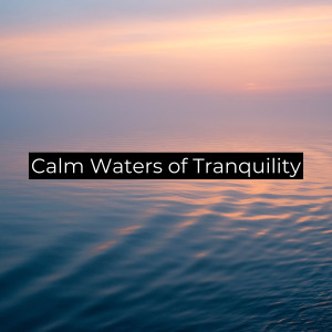 Calm Waters of Tranquility (Relaxing Meditation Music) dari Powerthoughts Meditation Club