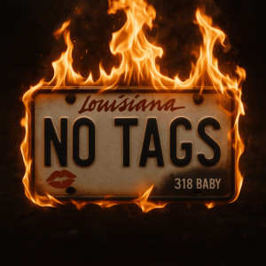 ดาวน์โหลดและฟังเพลง NO TAGS (Explicit) พร้อมเนื้อเพลงจาก 318 Baby