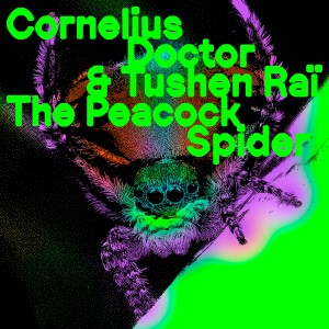 Album The Peacock Spider from Cornelius Doctor