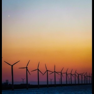 Album Chill Out State | Natural Calm, Daily Yoga Practice, Night Melody for Sleep oleh Deep Sleep