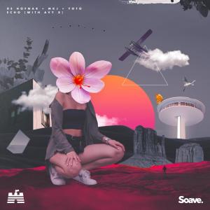 Album Echo (with AVY X) from De Hofnar