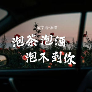 Album 泡茶泡酒泡不到你 from 成学迅